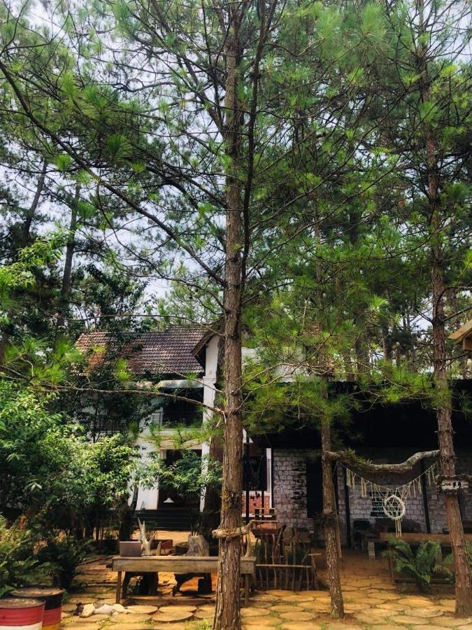 Chino Homestay Mang Den - Villa Tai Mang Den Kon Tum Eksteriør billede